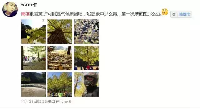 南雄看银杏值得去吗,南雄看银杏攻略