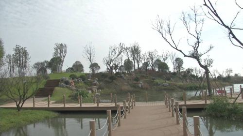 扬州版“百草园”等你来！冬季仍是翠绿鹅黄，色彩斑斓！