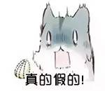 生男生女可以自己决定？！成功率竟高达80%！