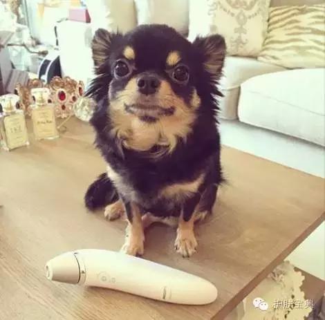 世界洁面仪排名,好用的七款洁面仪排行榜