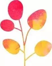 在广州生活是什么体验,广州生活体验