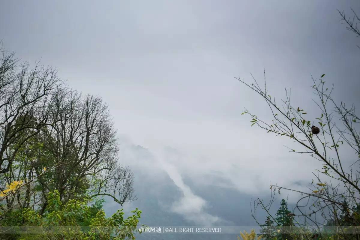 今年最后银杏金秋，现在出发还来得及！