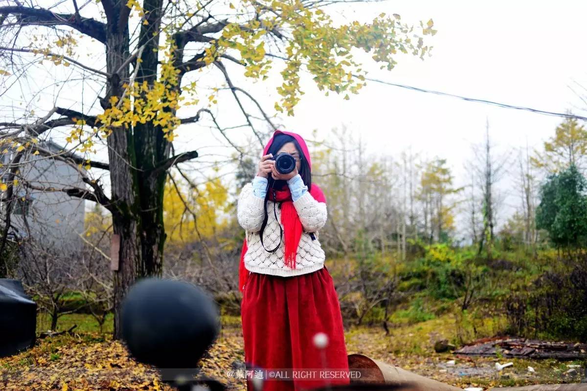 今年最后银杏金秋，现在出发还来得及！