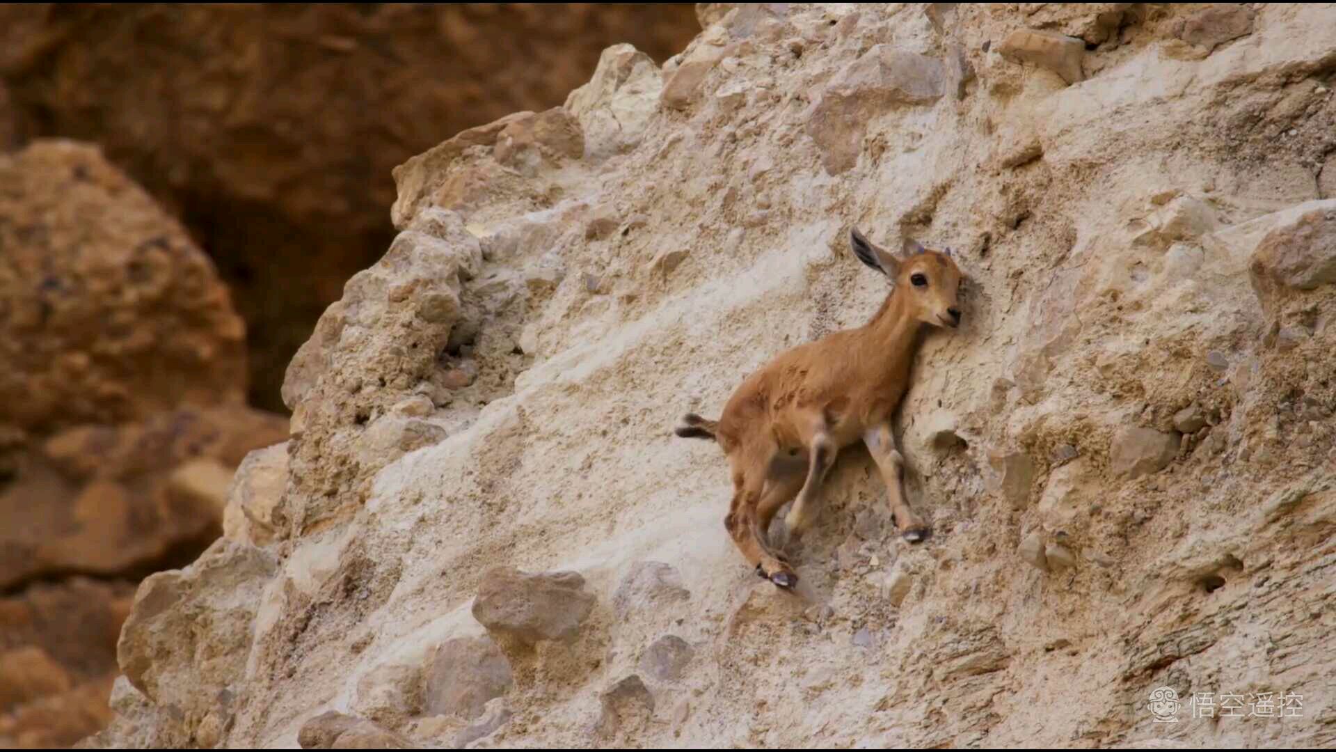 小米盒子3s刷国际版存在缺点,小米盒子3s清晰度没有4k