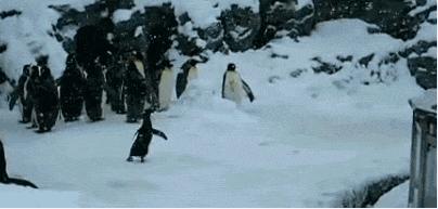 手冷玩lol,lol寒冬将至凛冬降临