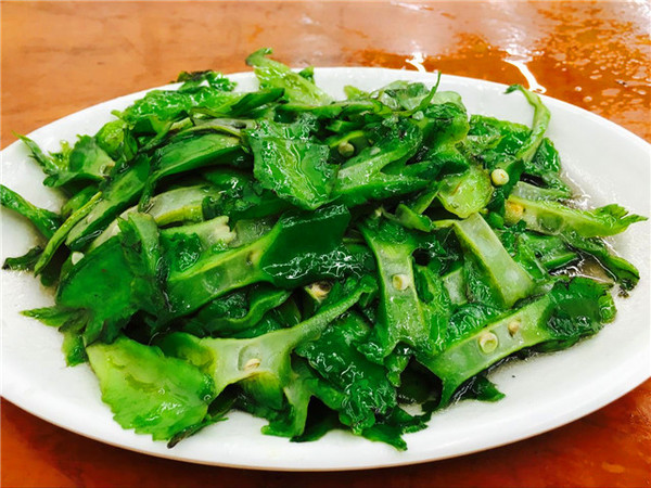 说走就走的三亚行,一场说走就走的三亚之旅