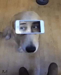 被200多斤的女胖子一屁股坐下去压着是什么感觉？