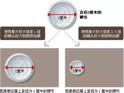 拍摄中如何正确的对焦,拍摄时如何选择正确的对焦
