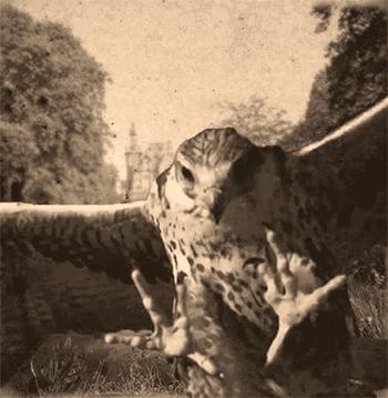 蒂姆伯顿最新的电影,蒂姆伯顿电影截图