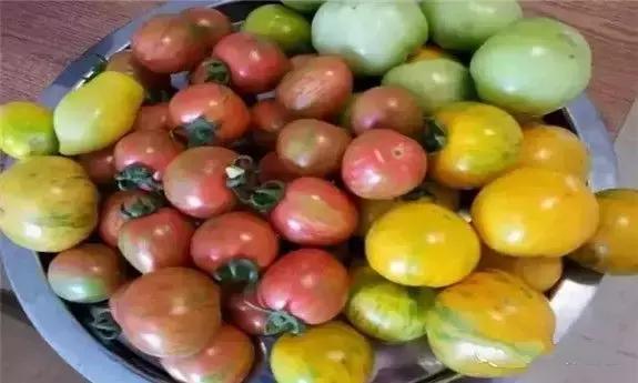 东北人的最爱,东北人的最爱东北大冻梨