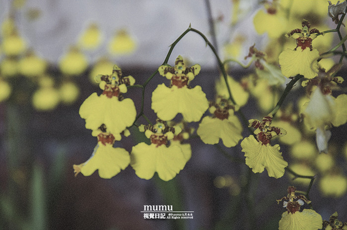 三亚第一市场怎么选海鲜,三亚第一市场海鲜在三亚哪个位置