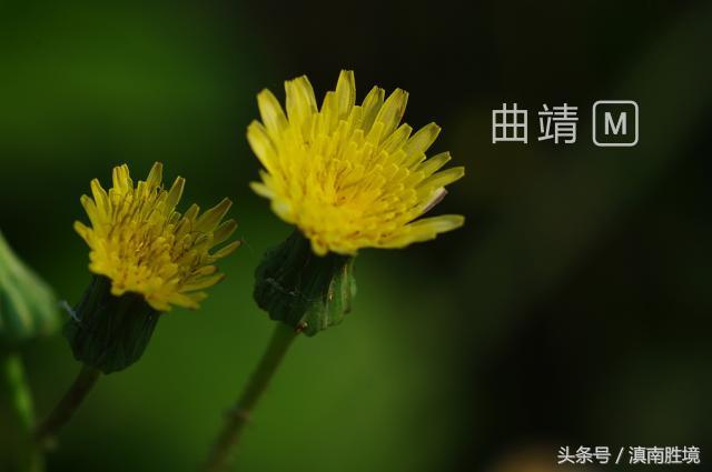 李永超书法真迹,李永超书画作品