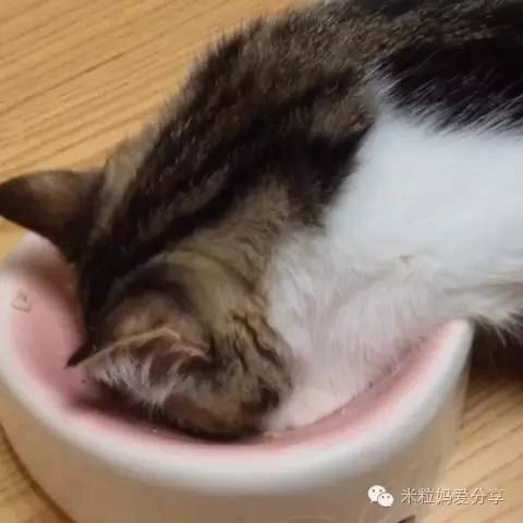 对孩子的身心造成了不可逆的伤害,别用你的错误毁了孩子的一生