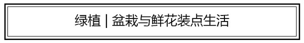 ins风家居必备物品,ins家居好物沙发
