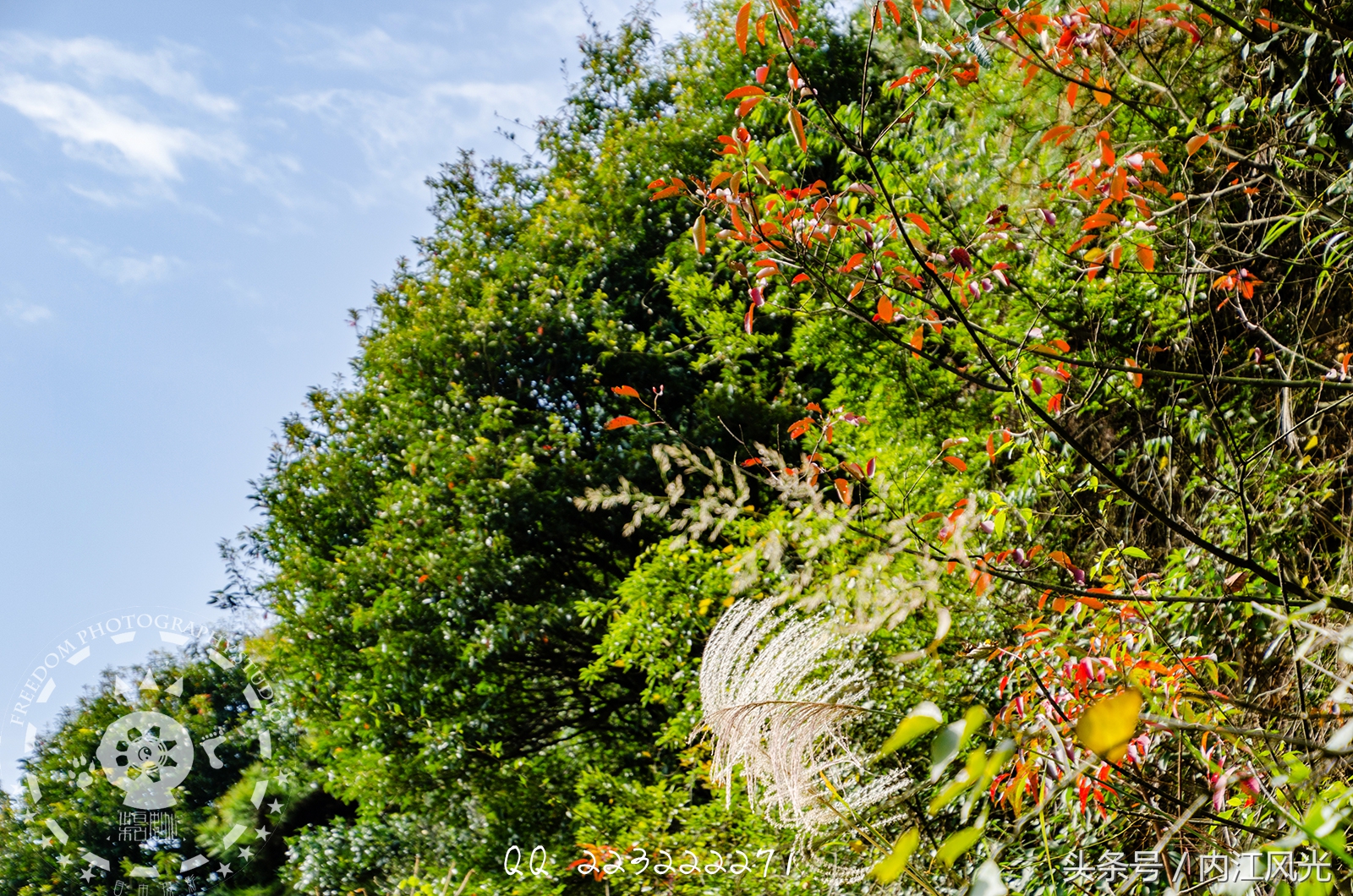 攀越震撼的内江威远高顶寨