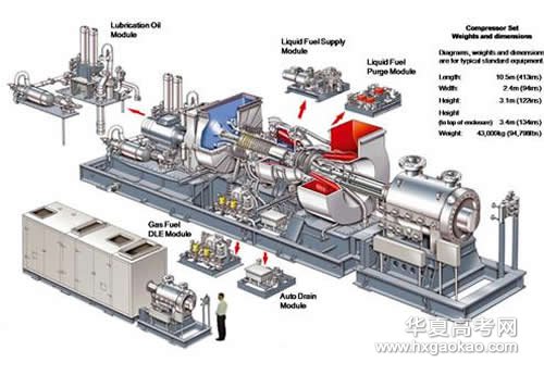 男生就业最具优势的10大高考专业，志愿填报不可轻视