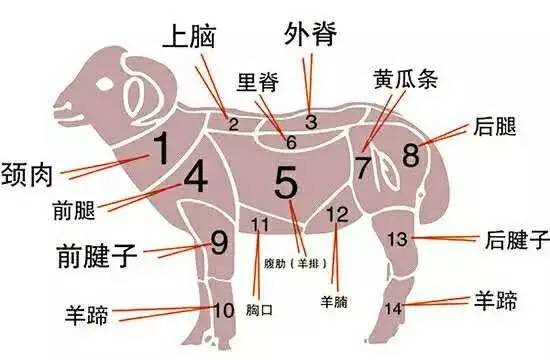 一间农庄,一间小院生态农场