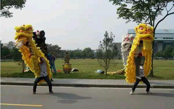 大学中的奇葩社团,北大大学社团有哪些