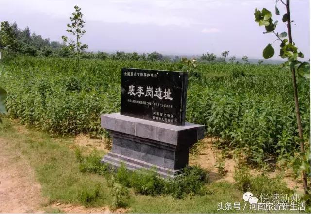 巩义吵架的视频,巩义吵架