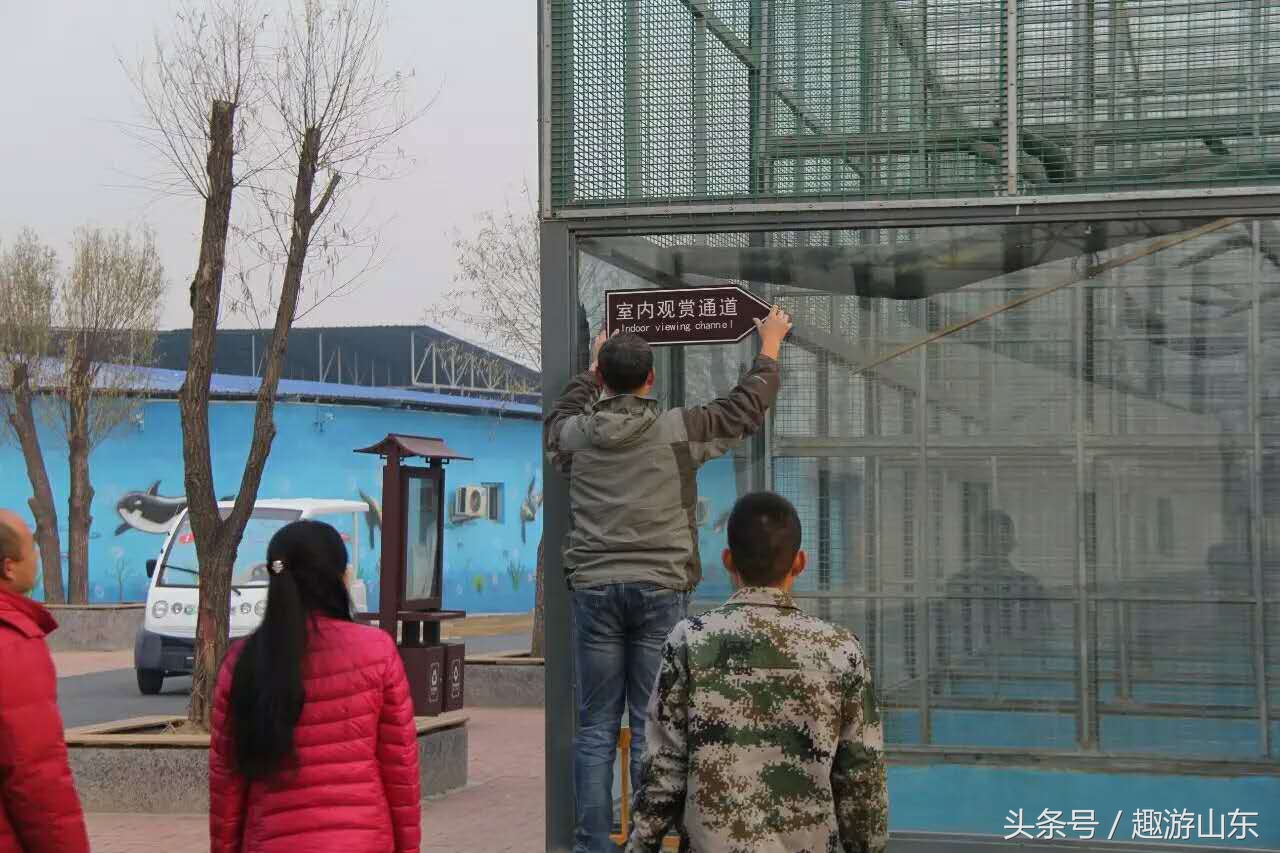 德州生态动物园,德州动物园布局