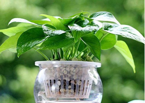 怀孕了怎么防止厨房隐患,孕妇能长时间在厨房做饭吗