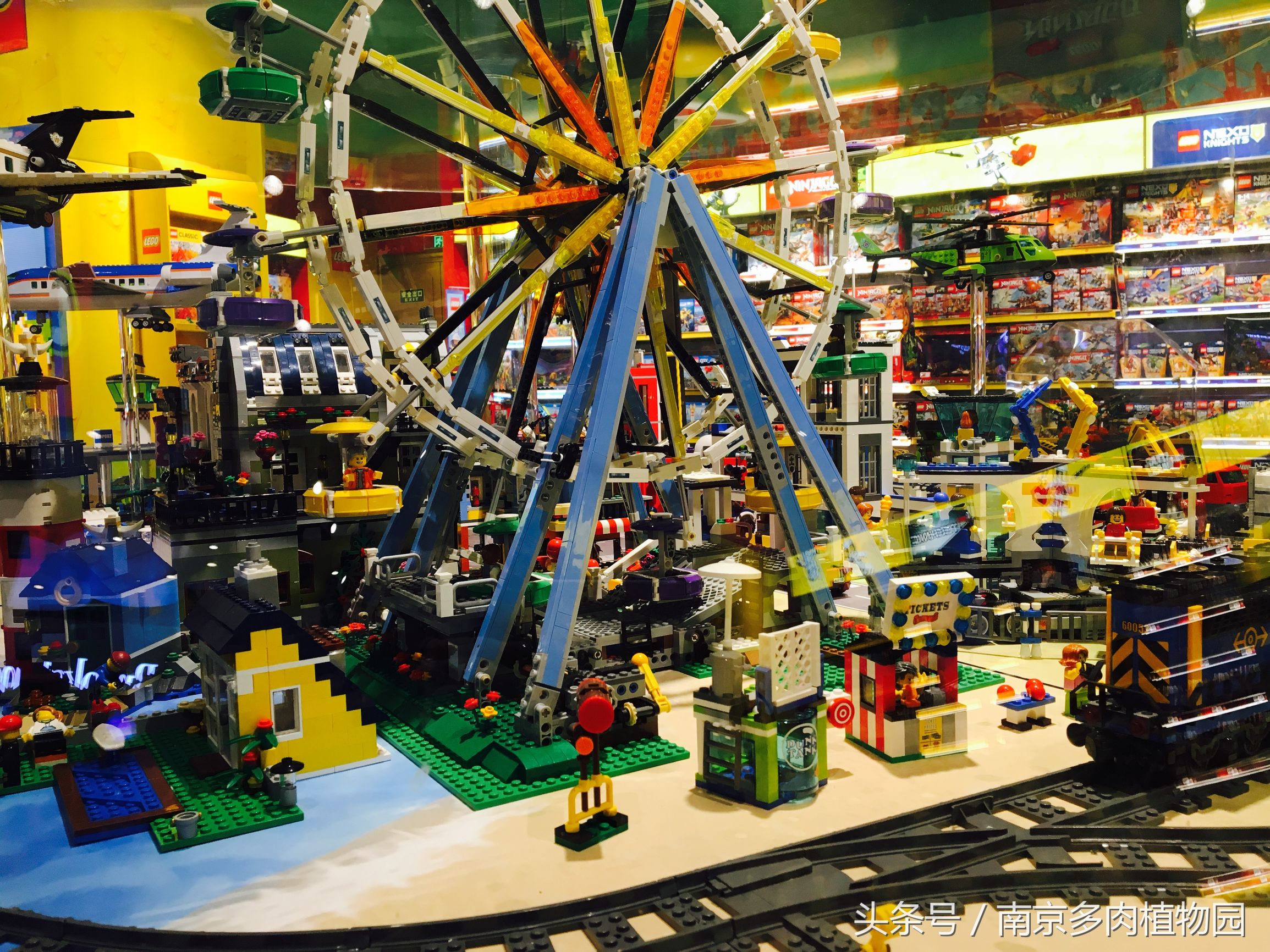 乐高积木成人款植物多肉,小玩具乐高