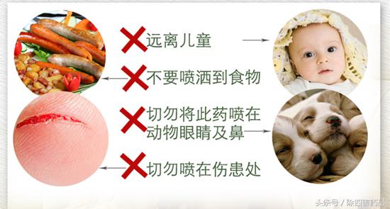 消灭跳蚤最有效的方法,消灭跳蚤最好最快的方法