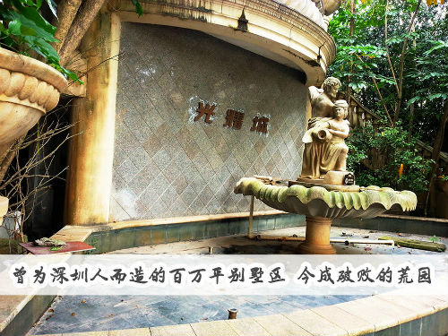 临深房价与深圳房价的关系,临深片区复式房房价