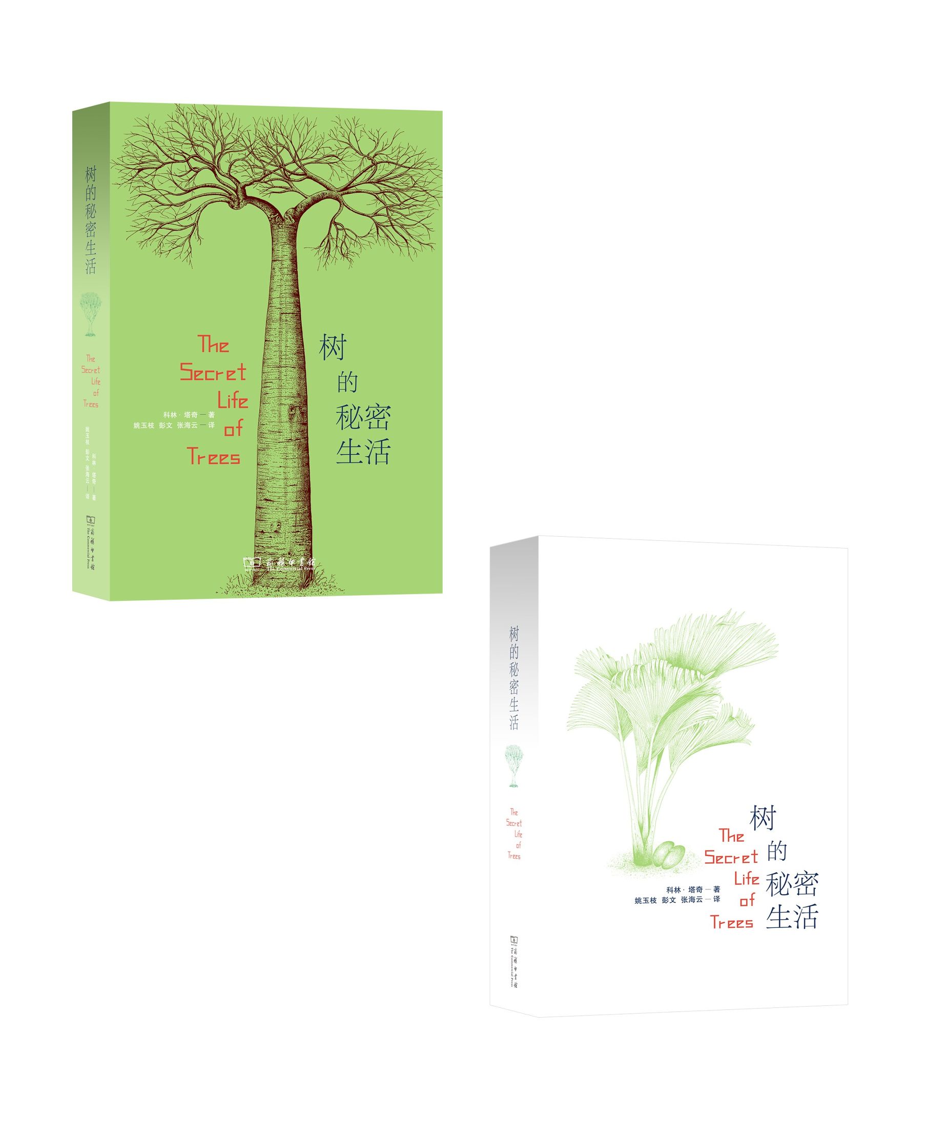 2015年的小说书单,2015年图书