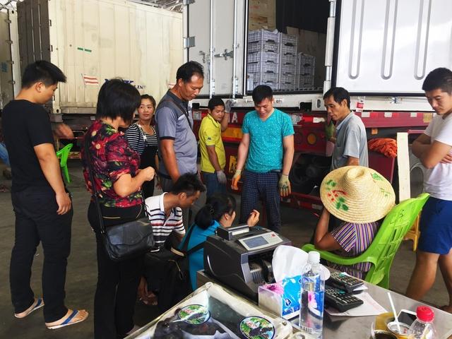 正品进口食品中国代理商,国产进口食品批发商进货渠道