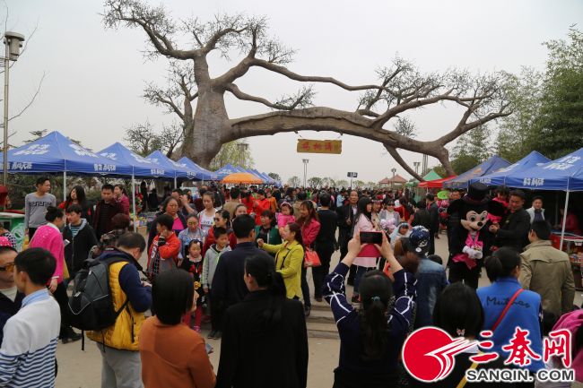 西乡县发展规划,西乡有哪些发展