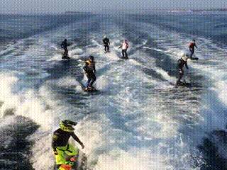 萌萌哒海狮空降海口，竟然还有这样的水上活动！