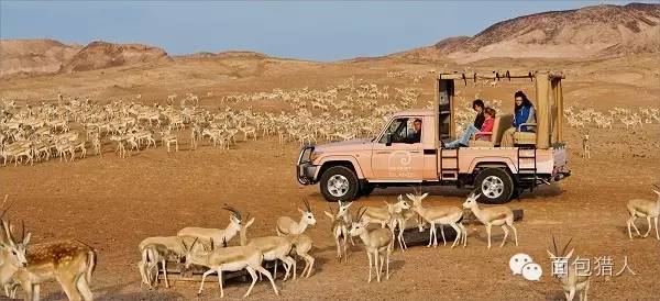 去了迪拜才知道有钱真重要,迪拜是世界上最有钱的地方吗