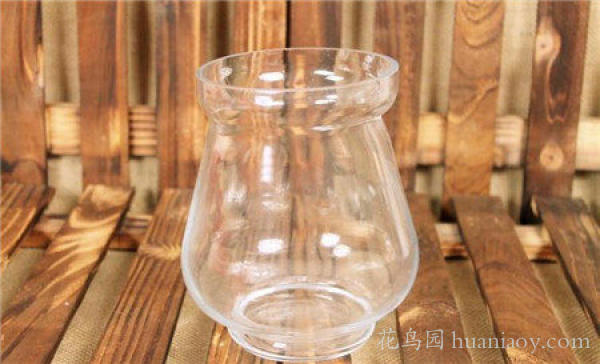 青叶吊兰水培方法和注意事项,怎样水培金边吊兰又可以养鱼