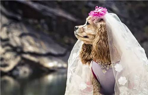 活动回顾｜欧帝亿主题巴士回顾--畅游幽谷神潭