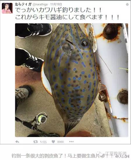 协和专家来我区开展肿瘤知识讲座｜女司机从负3楼撞到负2楼……