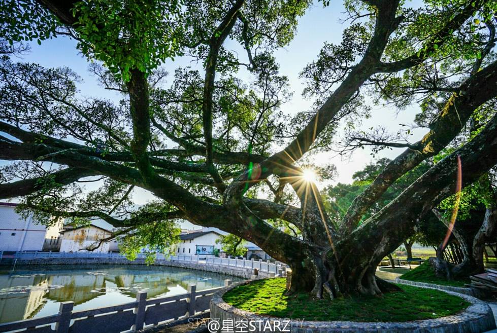 「关注」V观清远深呼吸带你走进佛冈，揭秘美丽乡村炼成秘诀