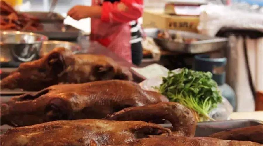 腊梅被冰冻,腊梅买回来几天就不行了