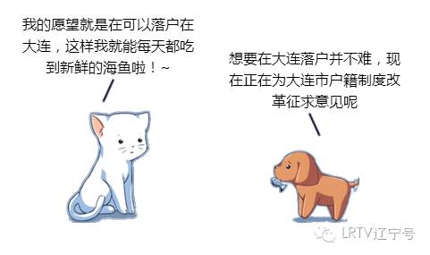 想做“大连人”吗?你只需五年