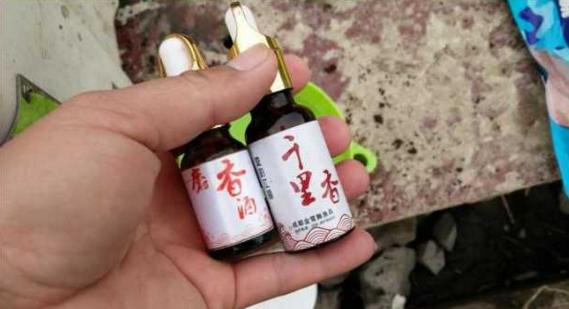 钓鱼人太牛！大风大雨中垂钓也能迎来鲤鲫大丰收