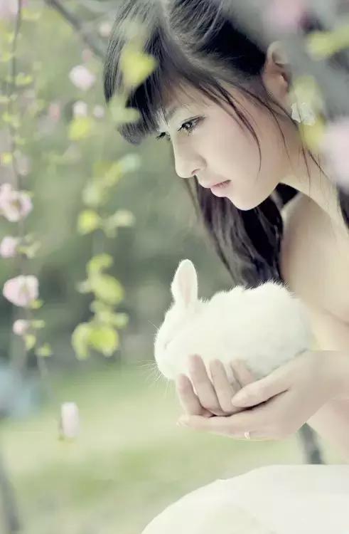 snh48温州女明星,snh48林思意鞠婧祎