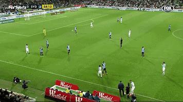 悉尼一只海鸥误入足球赛场，被一球打晕后，成了全场焦点……