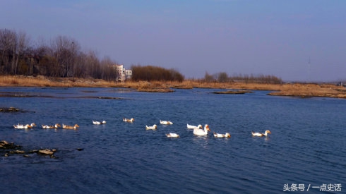 山东有几条主要的河流,山东最长的十条河流