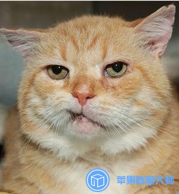 如何找回qq好友里被删除的好友,以前加过的qq好友删了怎么找回来