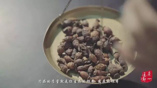 匠心生生堂｜生出一片新天地——生生堂重生背后的故事