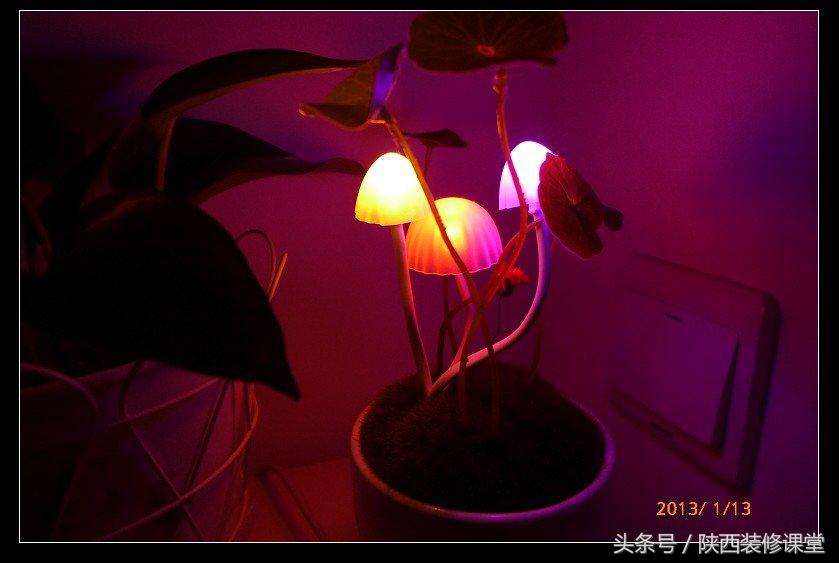 人人都想要的小户型设计,loft小蜗居设计