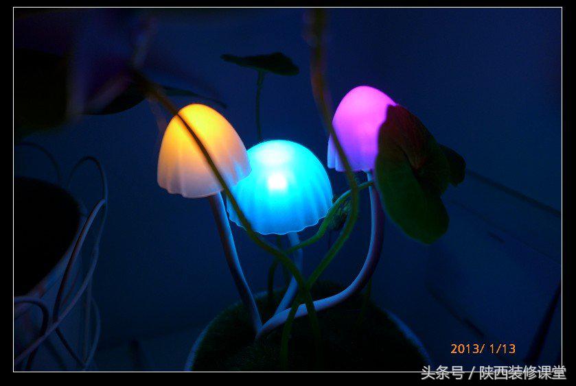 人人都想要的小户型设计,loft小蜗居设计