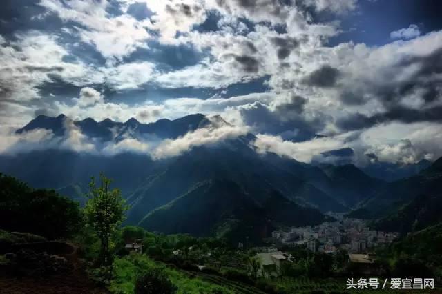 五峰美食,五峰有哪些著名的特产美食店铺