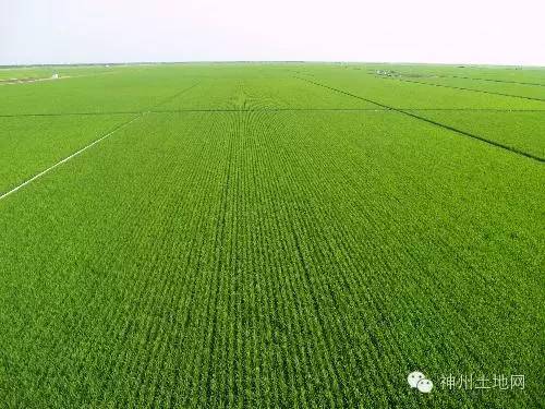 土地百科|自留地和承包地“待遇”一样吗?