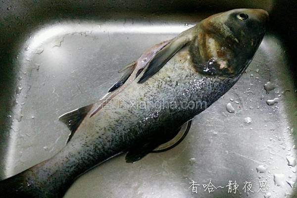 剔鱼片的教程,鱼片的切法剔除鱼刺视频